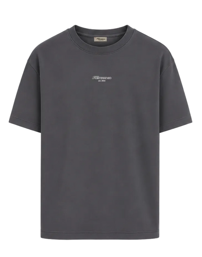 Gray t-shirt with a logo on a transparent background