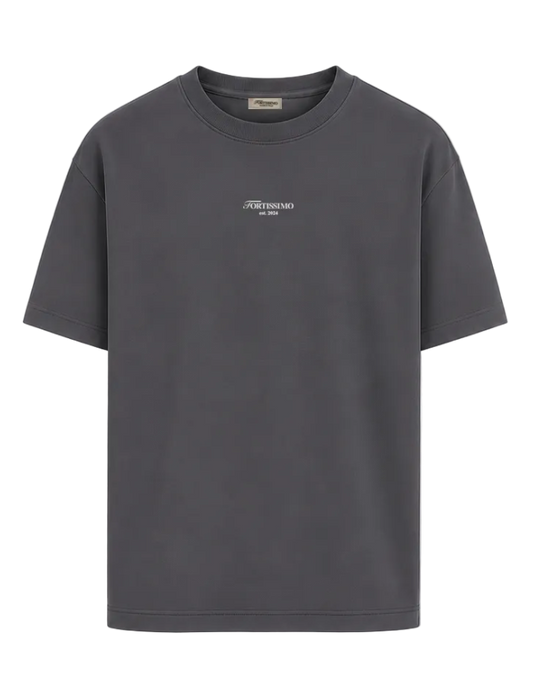 Gray t-shirt with a logo on a transparent background